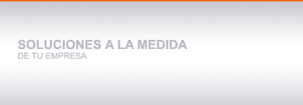 Soluciones a la medida de tu empresa